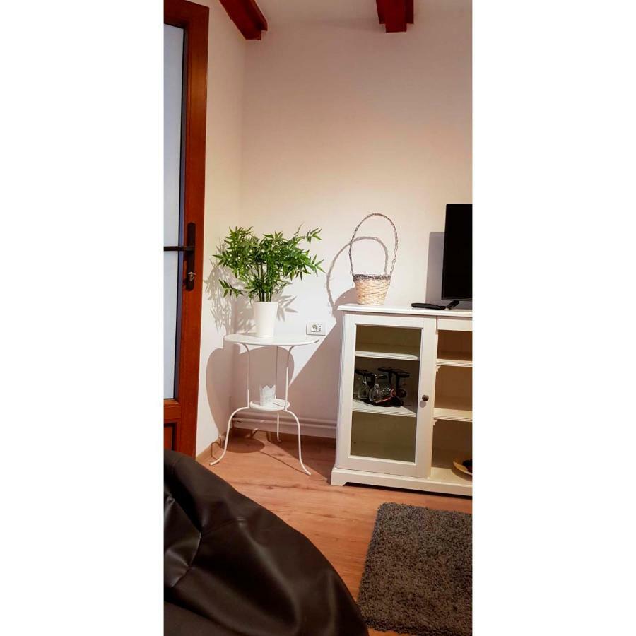 Vaso Apartament Lägenhet Sinaia Exteriör bild